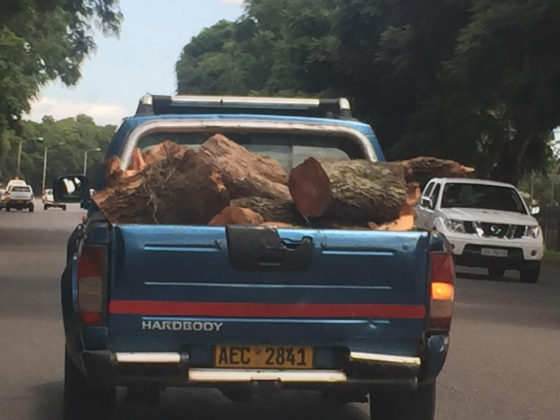 Firewood from timber common with motorists now.