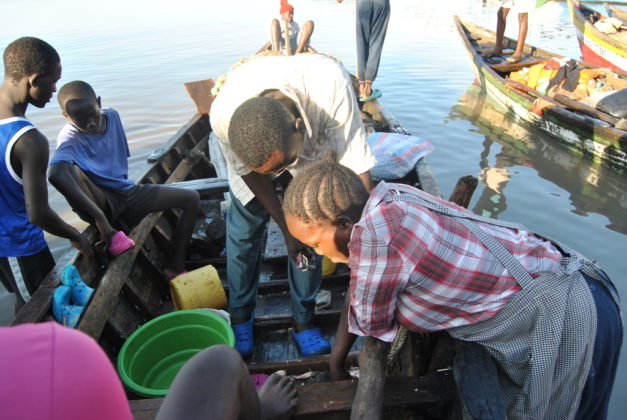 The coronavirus outbreak stops Chinese fish imports, as business booms for Kenyan fish traders.