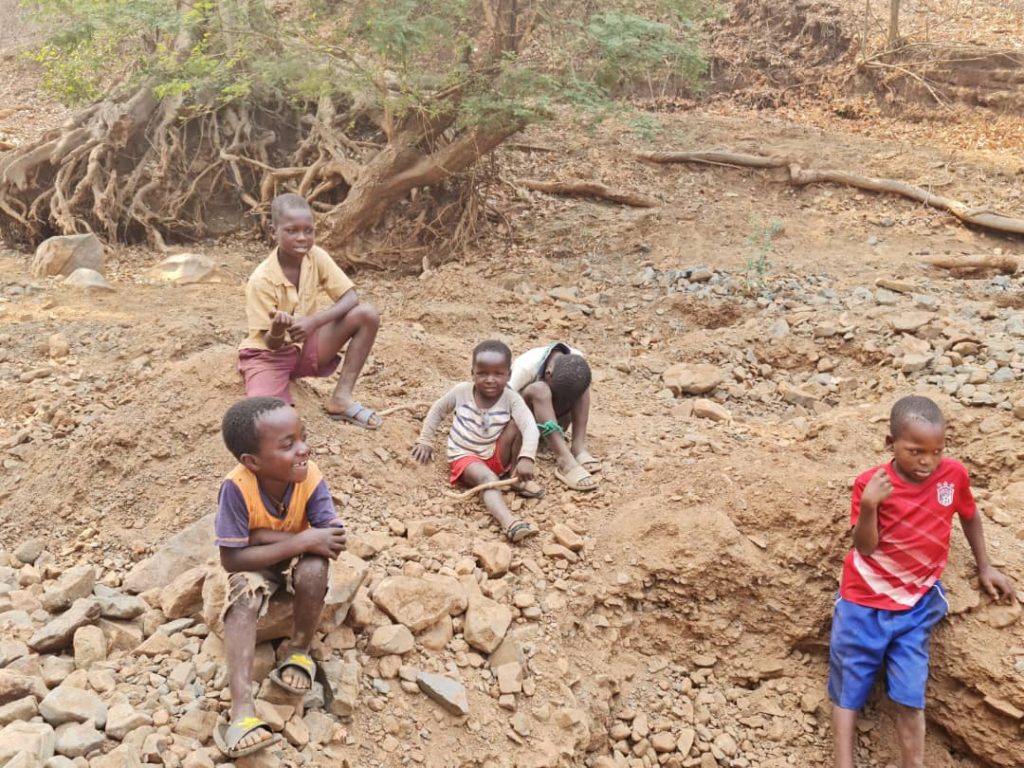 Ubuntu PhotoNews Child Labor In Zimbabwe Amid Pandemic  Ubuntu Times