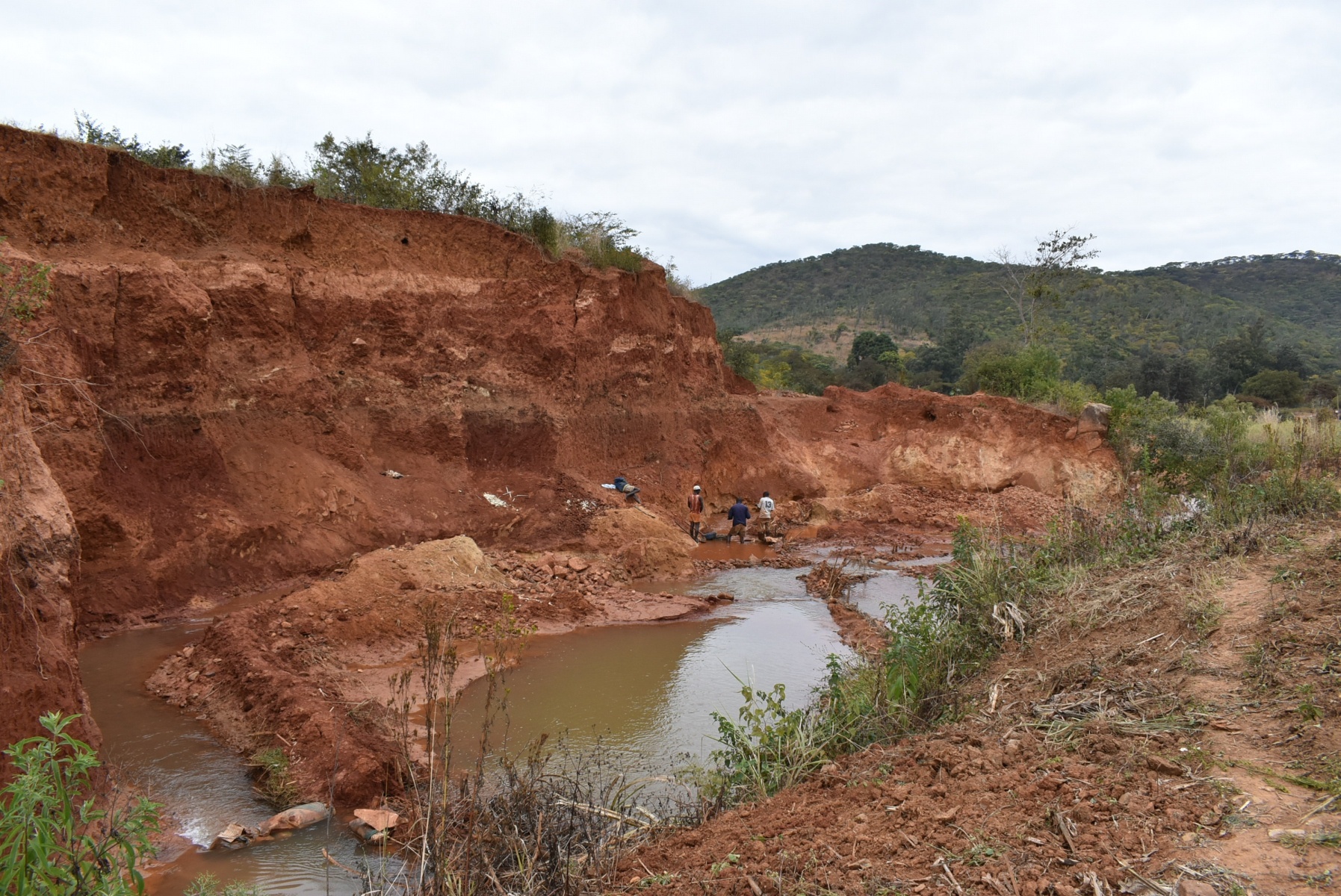 Zimbabwe replaces chrome mining ban with tighter regulations - Mining  Technology